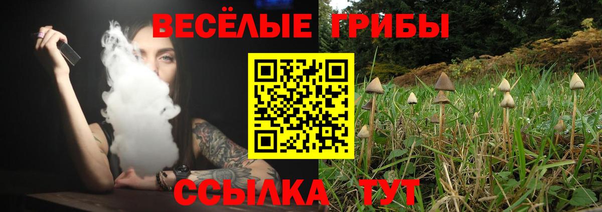 Галлюциногенные грибы Psilocybine cubensis  Вход с VPN  Карпинск  Галлюциногенные грибы Magic Shrooms 